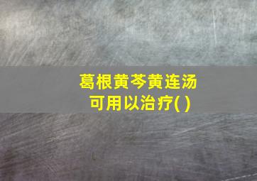 葛根黄芩黄连汤可用以治疗( )